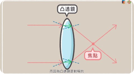 自然5上CH1-3推薦影片
